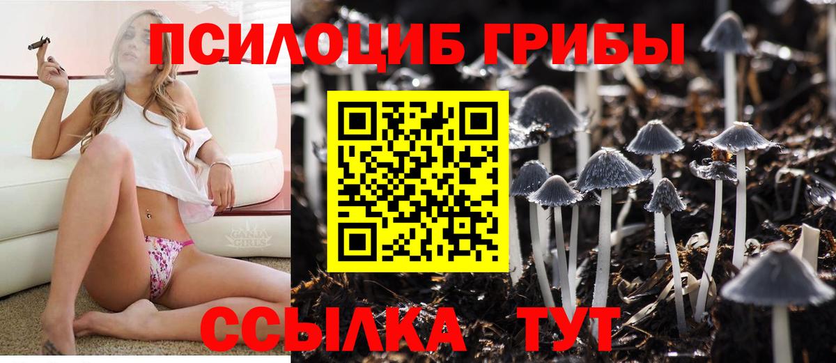 Псилоцибиновые грибы Cubensis  Вход с VPN  Каменск-Уральский 